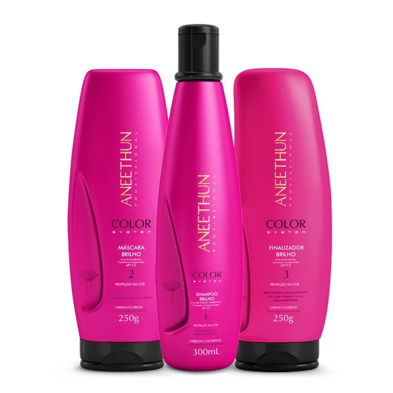 Kit Aneethun Color System Shampoo 300ml + Máscara 250g + Finalizador 250g