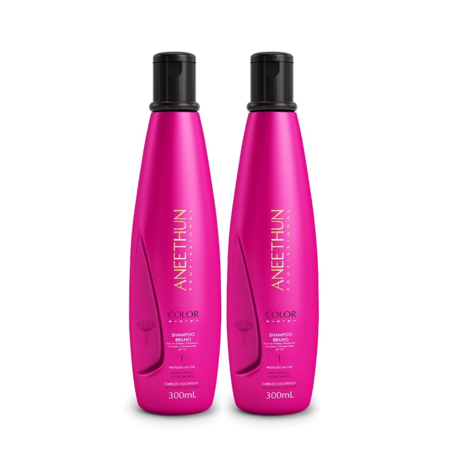 Kit Aneethun Color System Shampoo (2 Unidades)