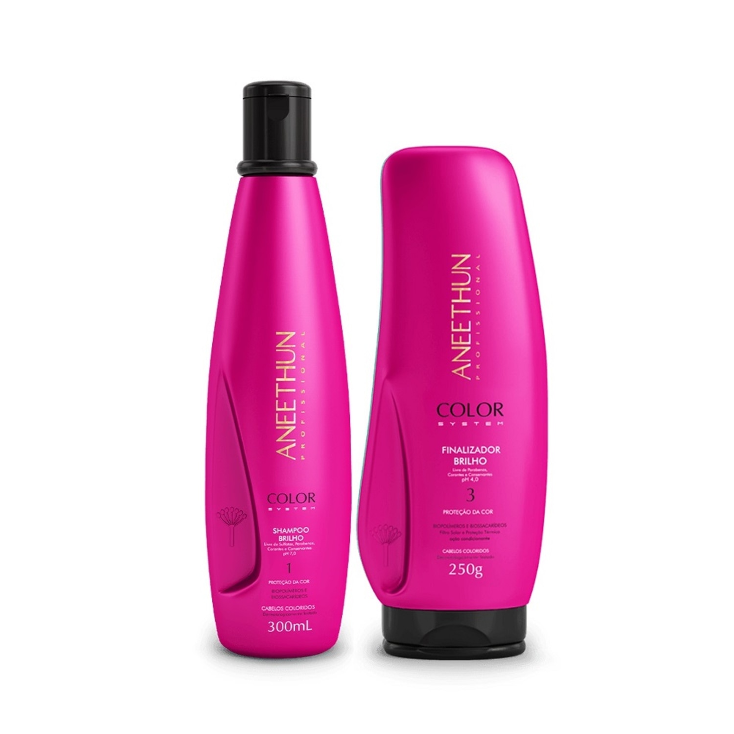 Kit Aneethun Color System Shampoo 300ml + Finalizador 250g