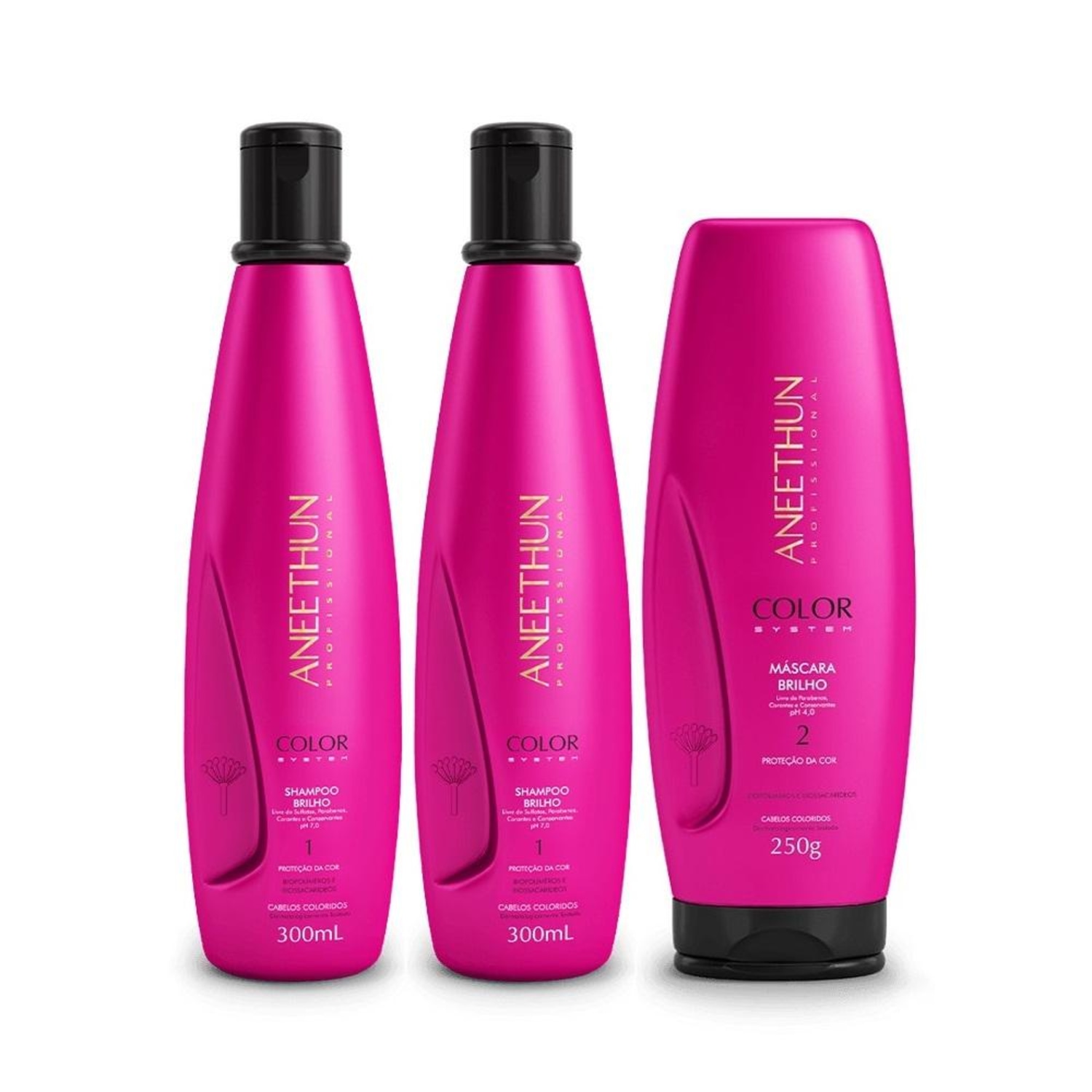 Kit Aneethun Color System - Shampoo 300ml (2Un) + Máscara 250g