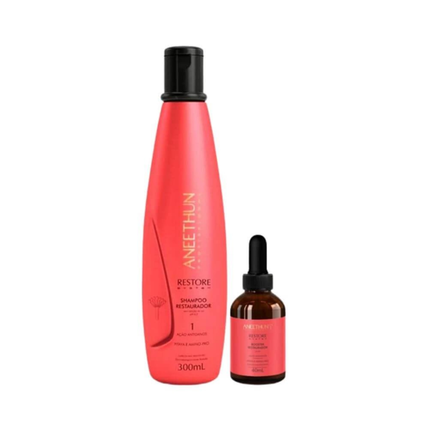 Kit Aneethun Restore System Duo Regenerativo (2 Produtos)