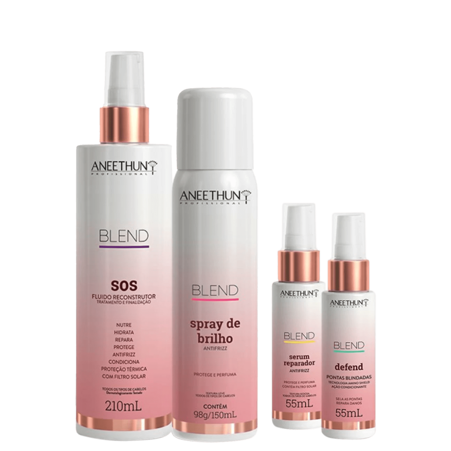 Kit Blend Aneethun Com 4 Produtos Tratamento Multicuidados