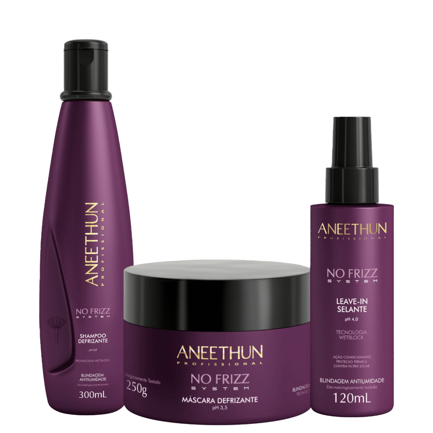Kit Aneethun No Frizz Shampoo, Máscara e Leave-in Selante
