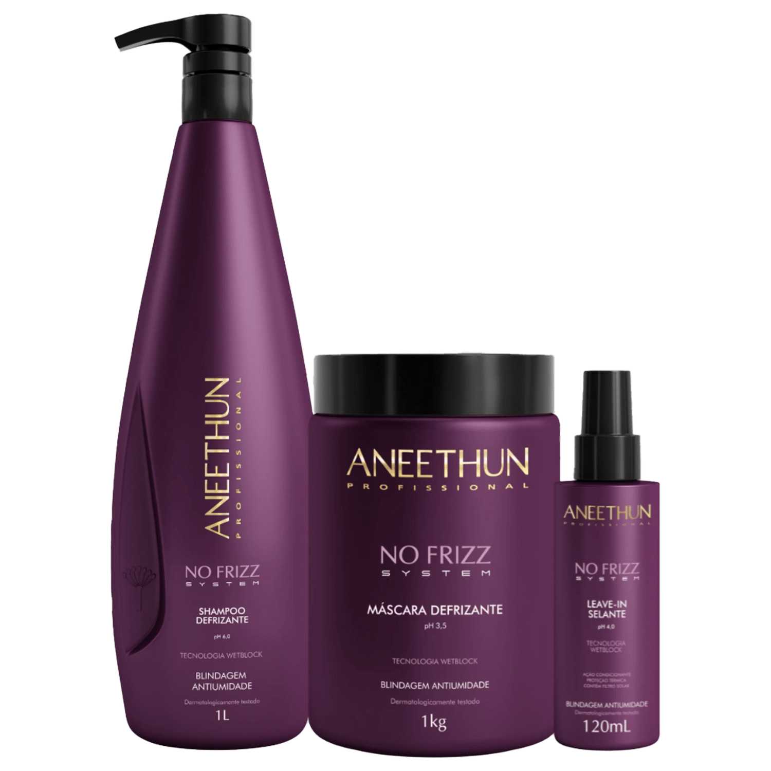 Kit Aneethun No Frizz Lavatório Shampoo, Máscara e Leave-in