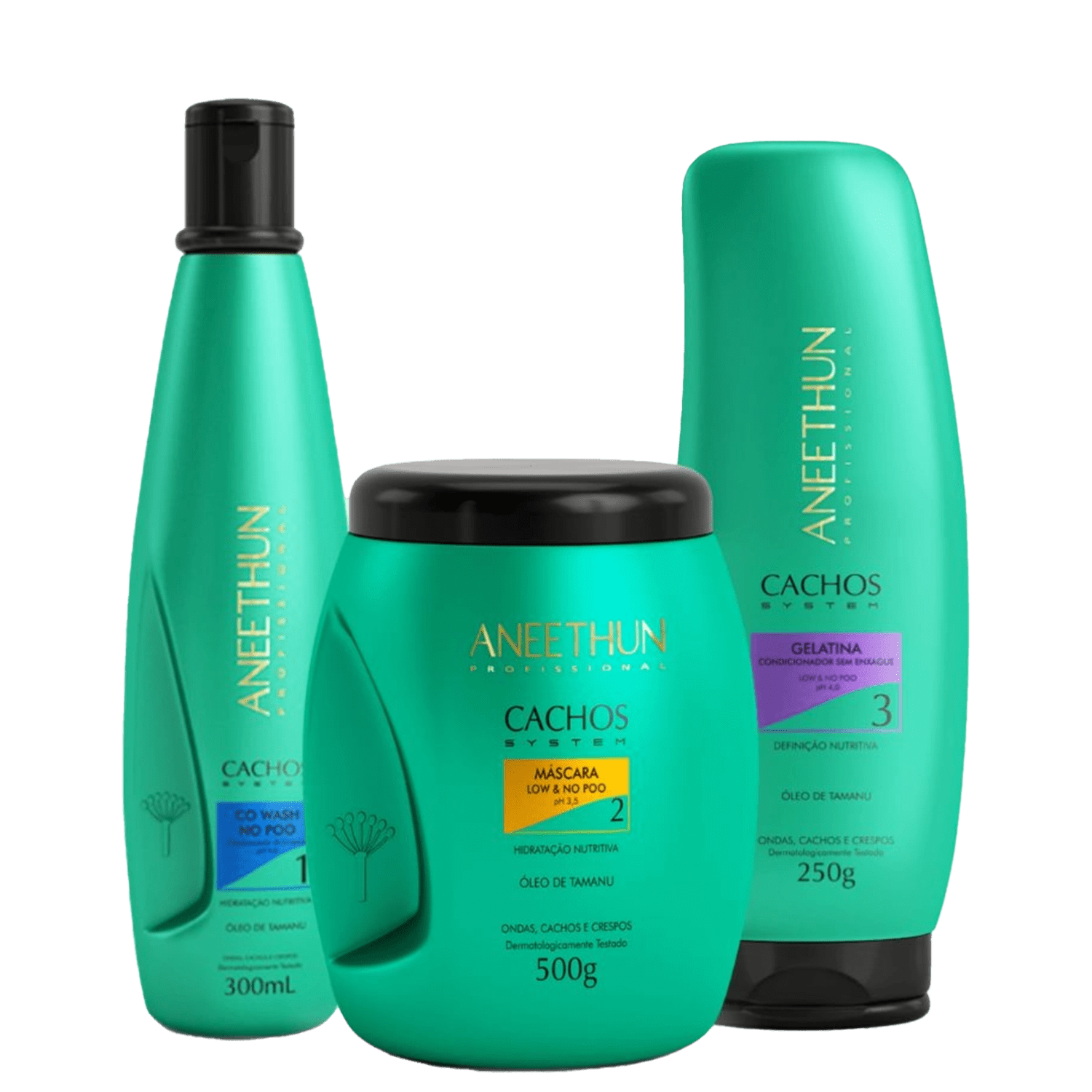 Kit Aneethun Cachos System Co Wash, Máscara e Gelatina