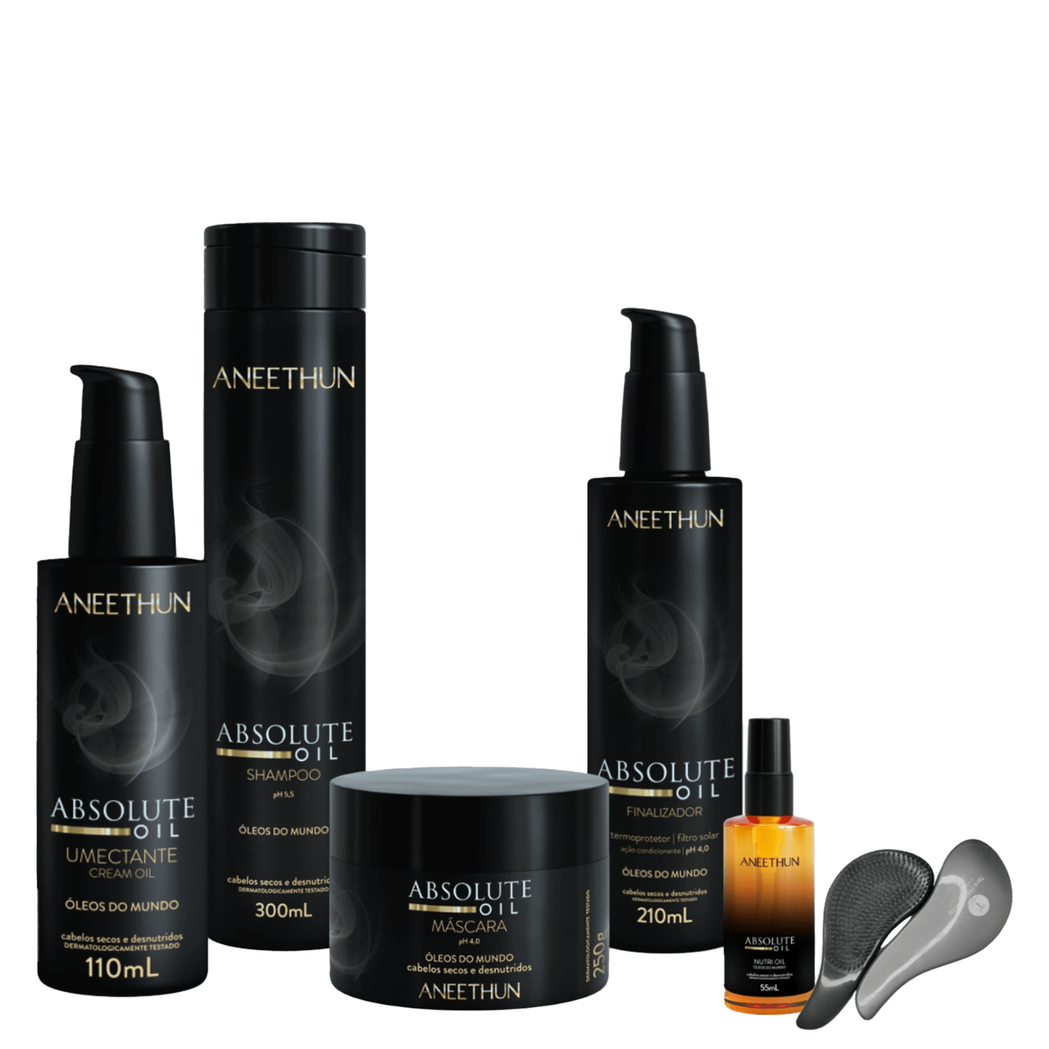 Kit Absolute Oil com 5 produtos Aneethun + Escova Mágica