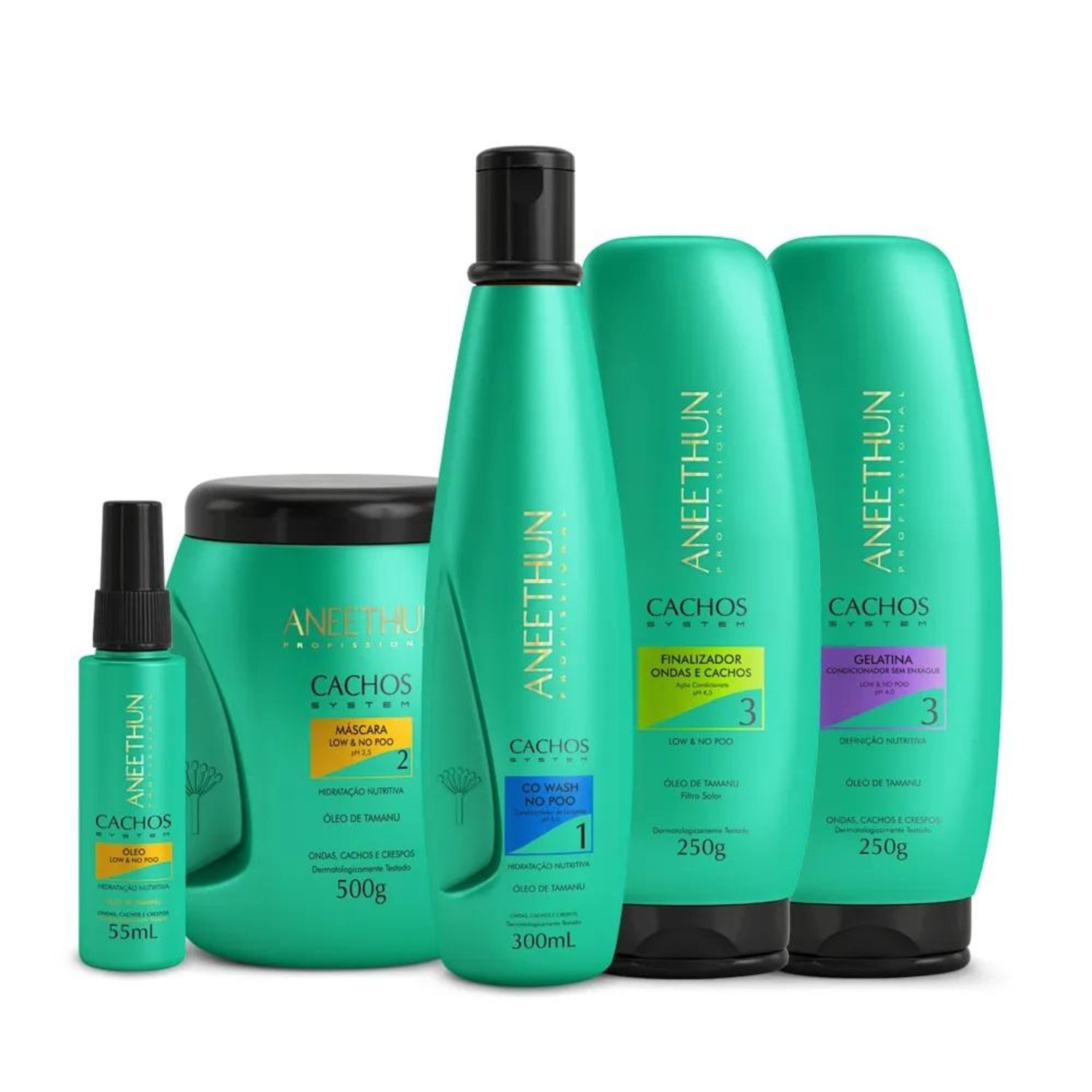 Kit Aneethun Cachos System (5 Produtos)
