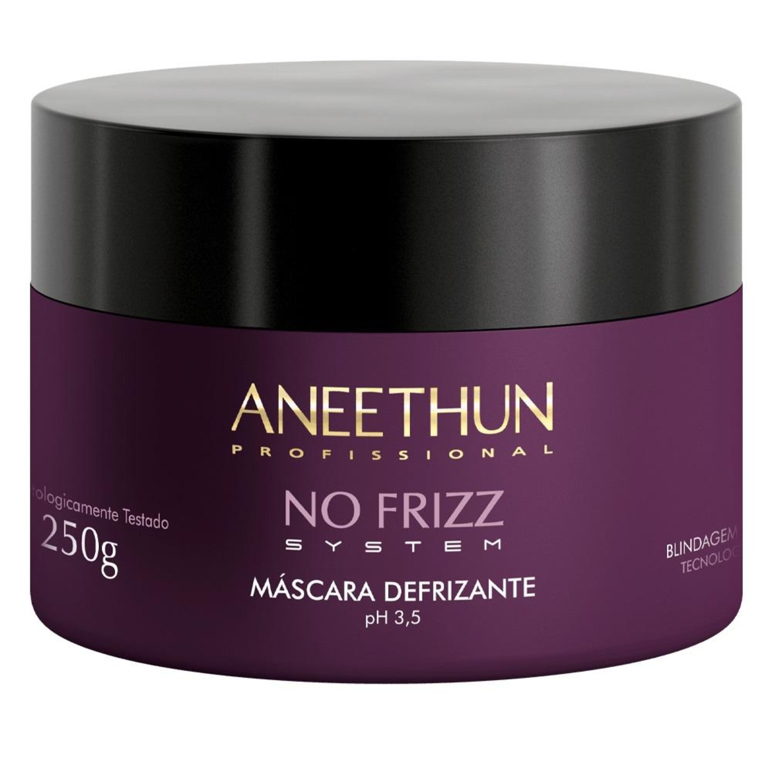 Aneethun No Frizz System - Máscara Capilar 250g