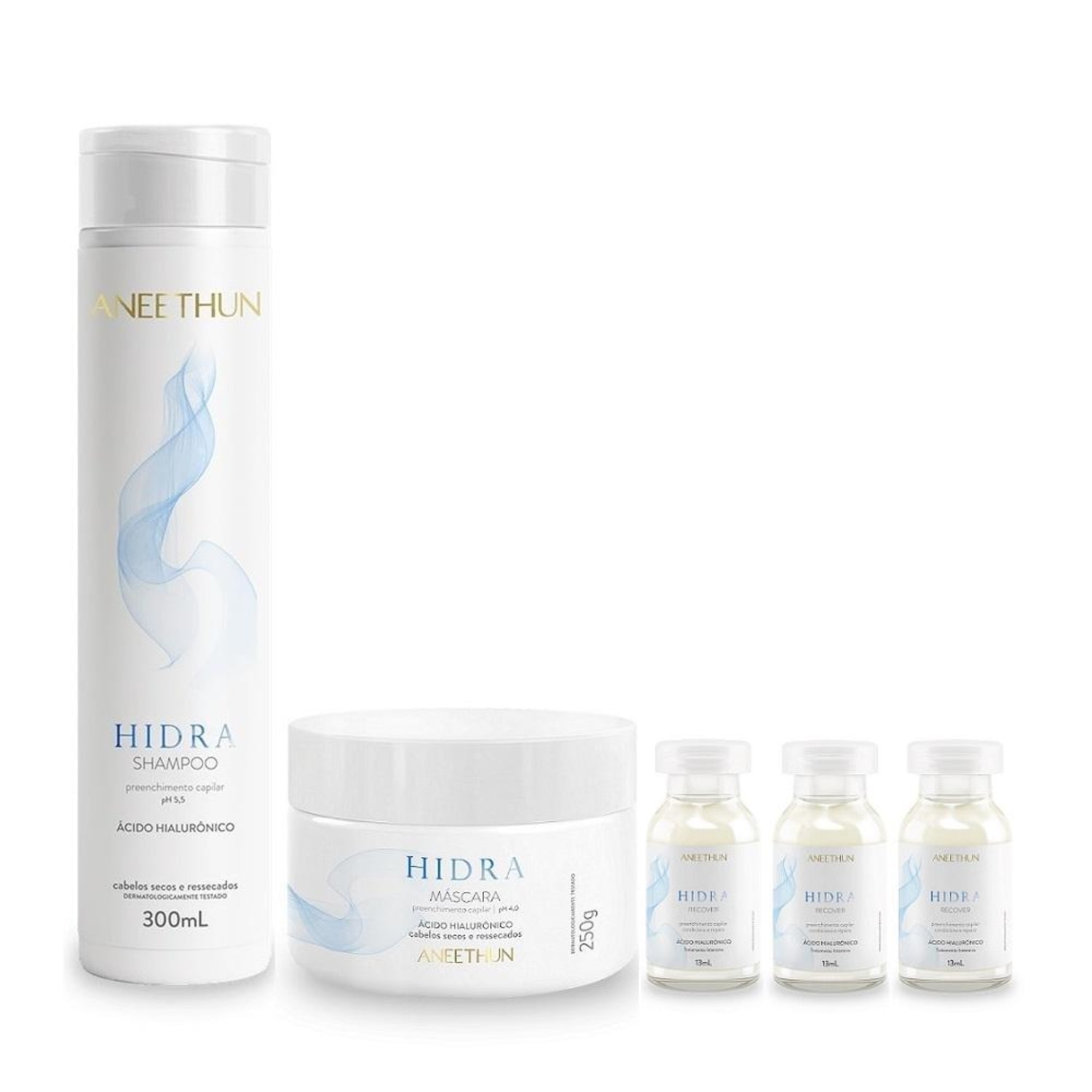Kit Aneethun Hidra - Shampoo 300ml + Máscara 250g + Ampolas 13ml (3Unidades)