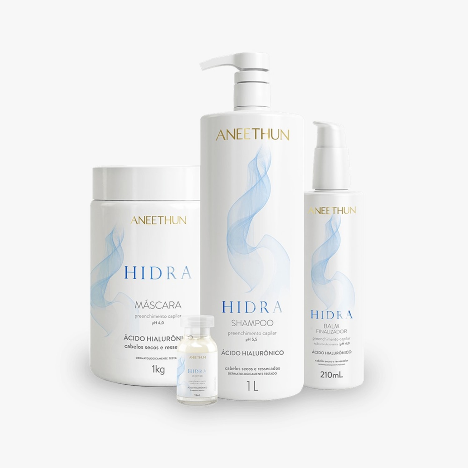 Kit Aneethun Hidra - Shampoo 1L + Máscara 1Kg + Finalizador 210ml + Ampola 13ml