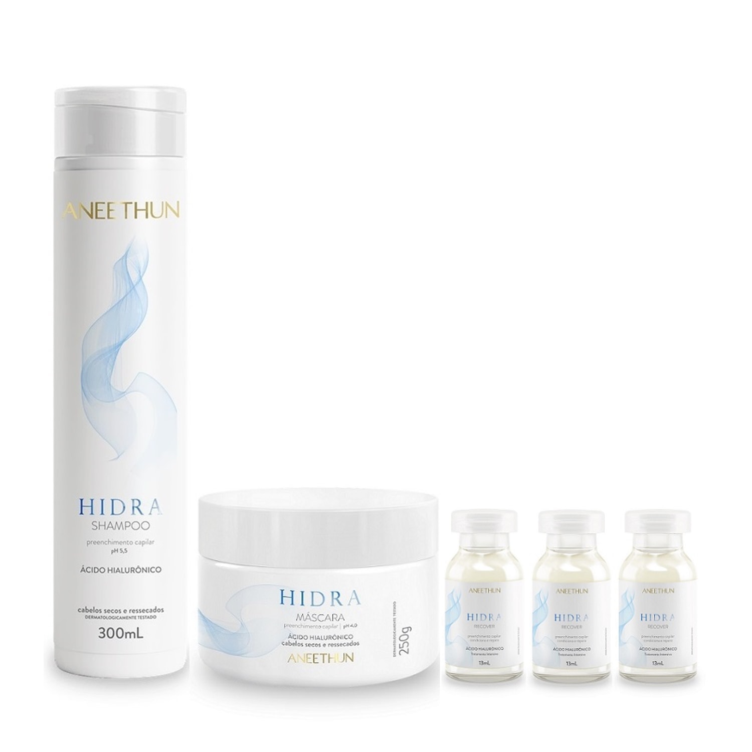 Kit Aneethun Hidra - Shampoo 300ml + Máscara 250g + Ampolas 13ml (3Unidades)