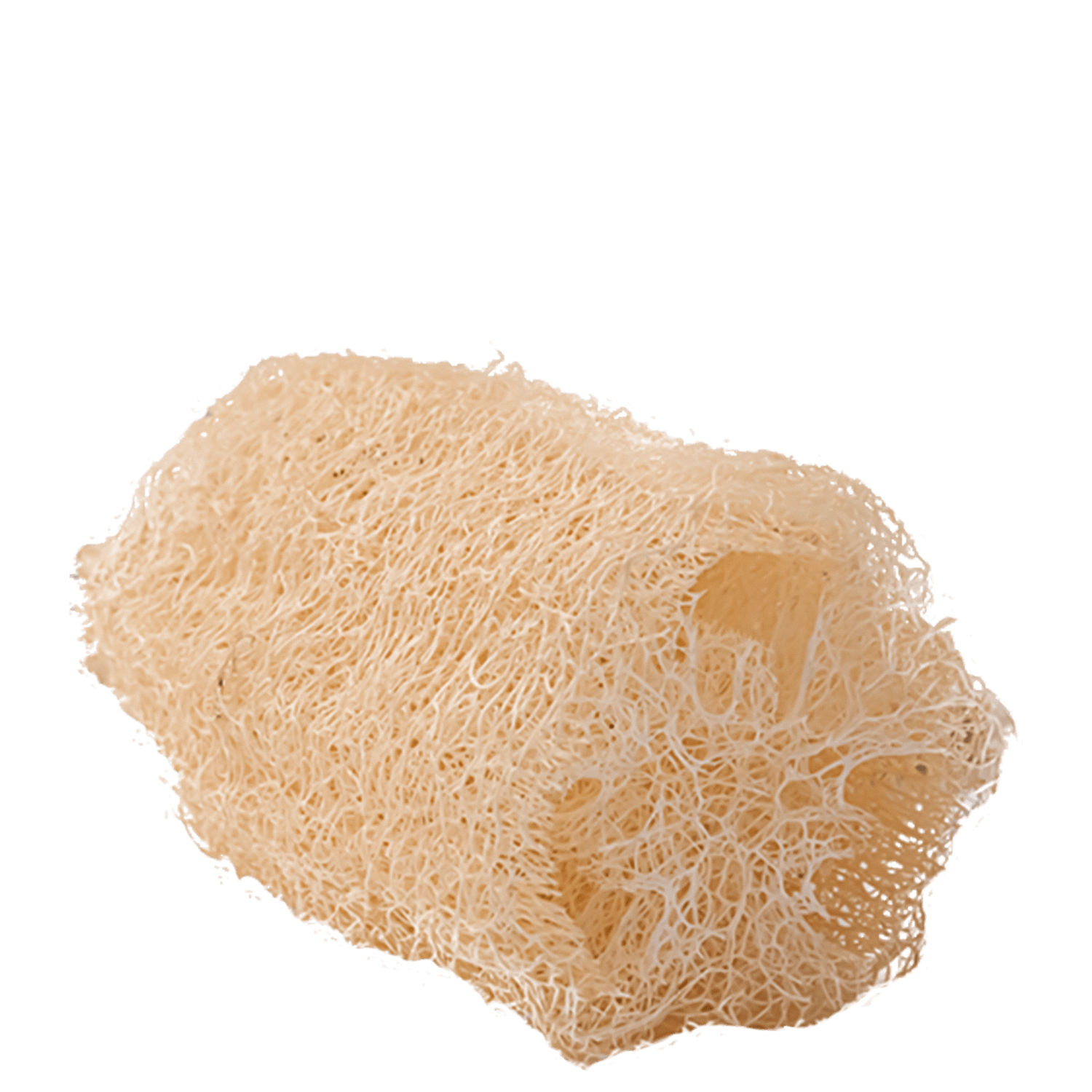Orgânica - Bucha Esponja Natural em Pedaço 8g