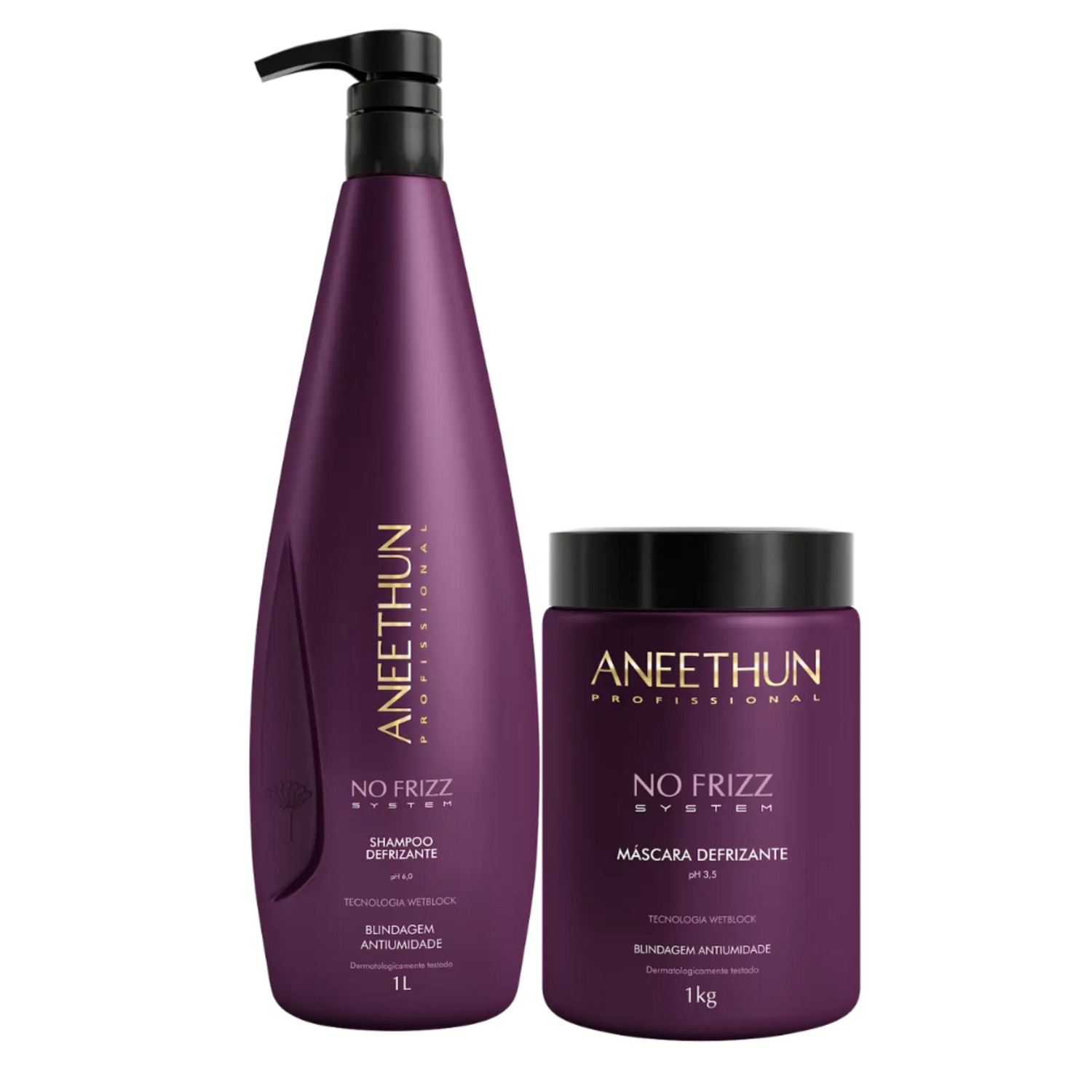 Kit Aneethun No Frizz System Duo Mask (2 Produtos)