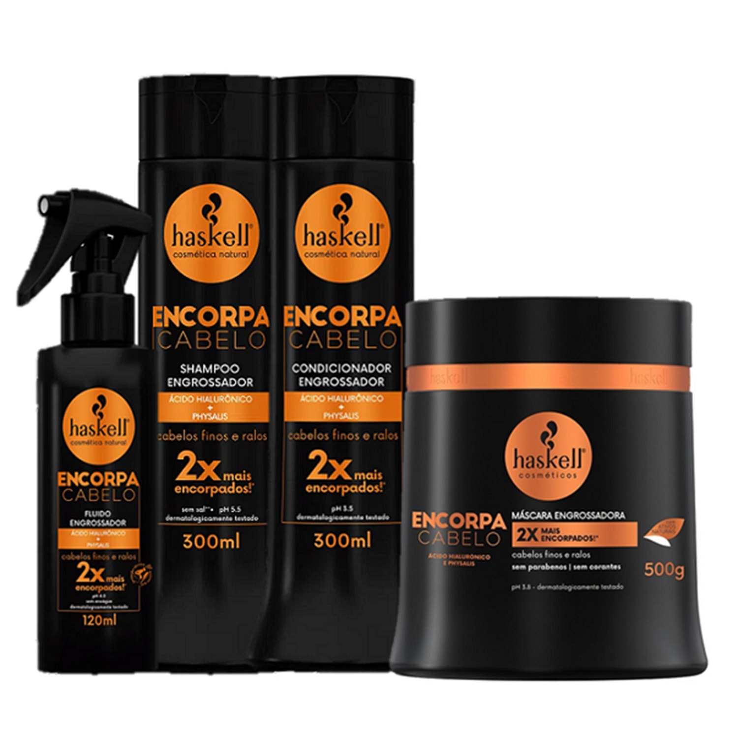 Kit Haskell Encorpa Cabelo Tratamento (4 Produtos)