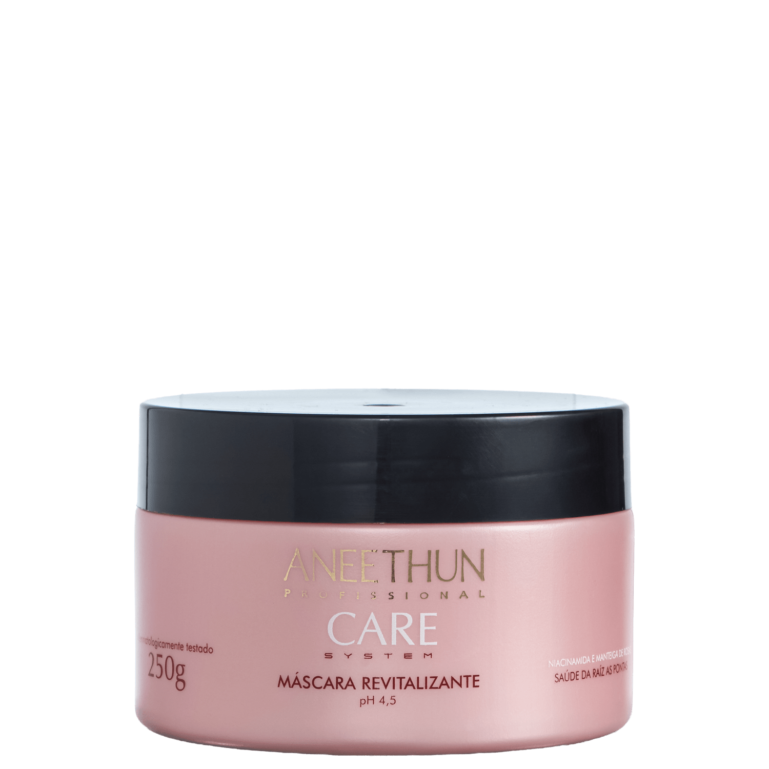 Aneethun Care System - Máscara Revitalizante 250g
