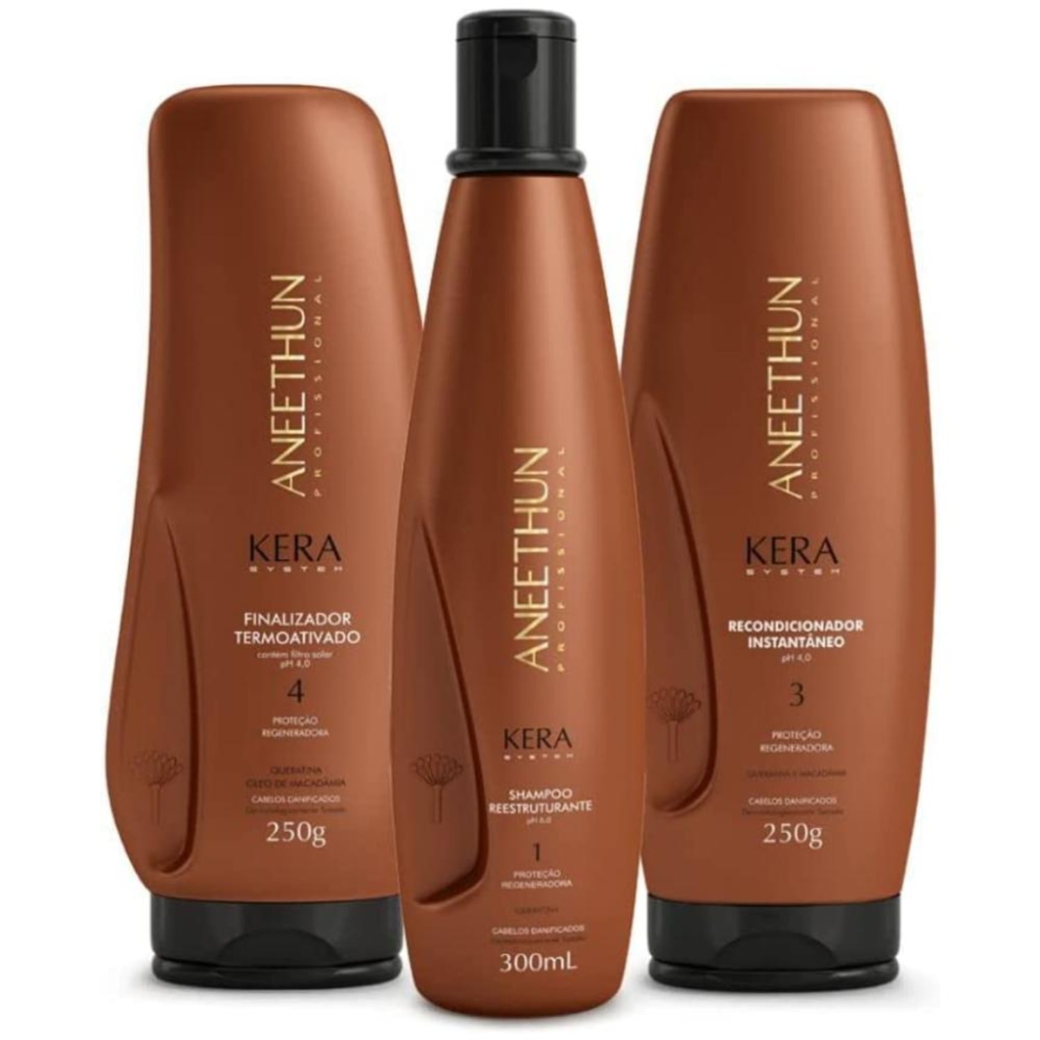 Kit Aneethun Kera System Essencial (3 Produtos)