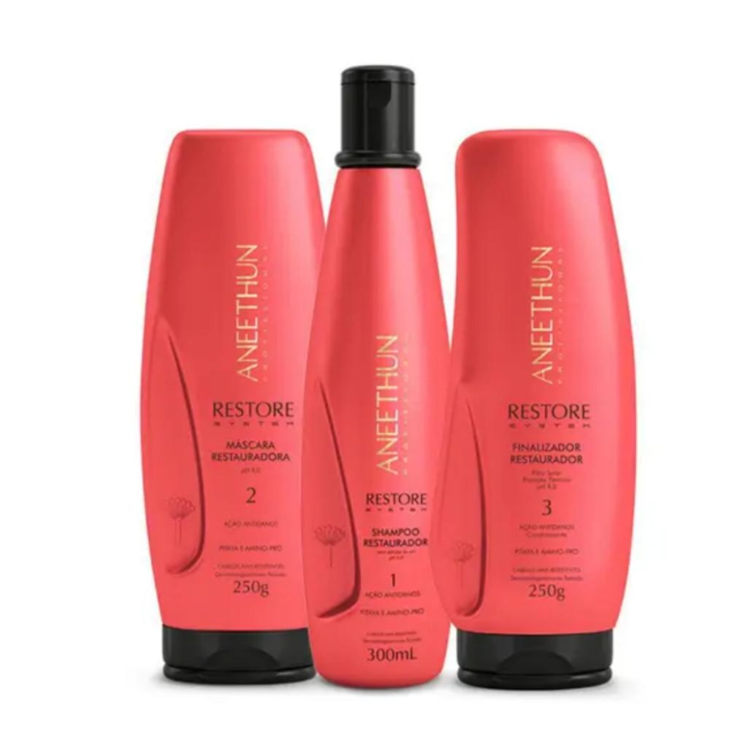 Kit Aneethun Restore System (3 Produtos)