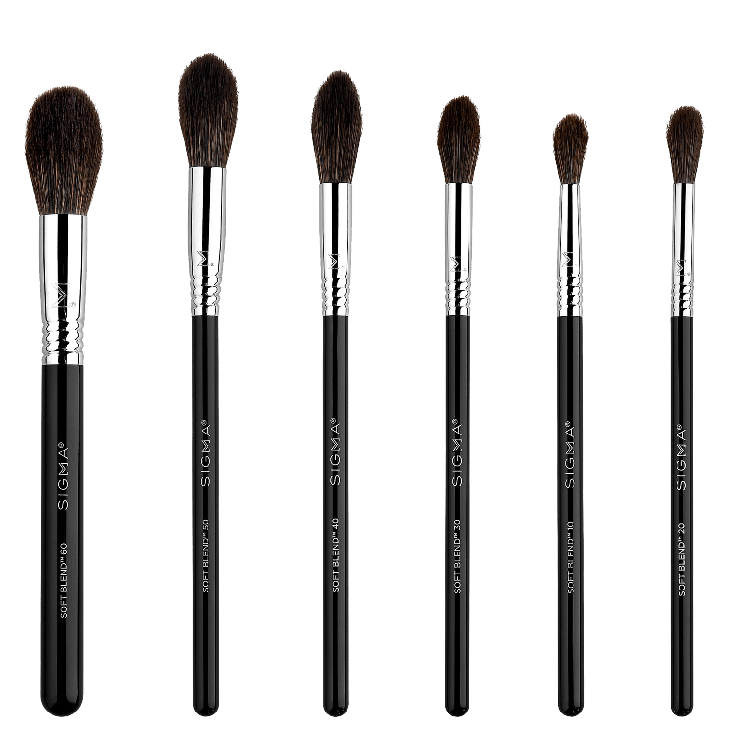 Kit de Pincéis Sigma Beauty Soft Blend Brush Set (6 Produtos)
