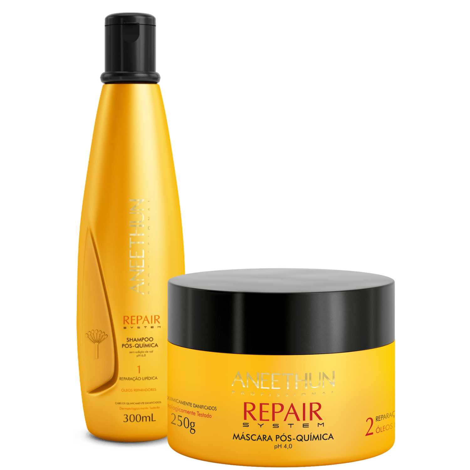 Kit Shampoo 300ml e Máscara 250g Aneethun Repair System