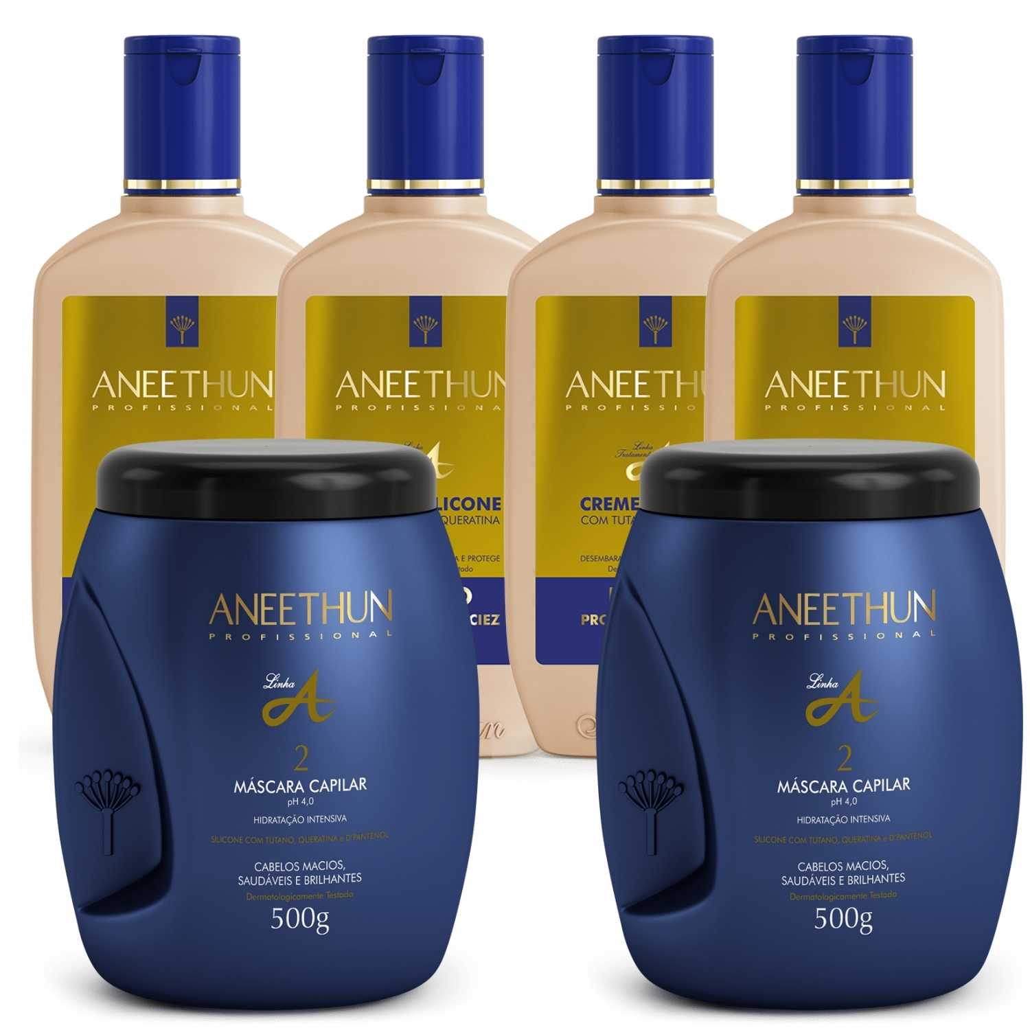 Kit Linha A Creme De Silicone 4x250ml Máscara 2x500g Aneethu