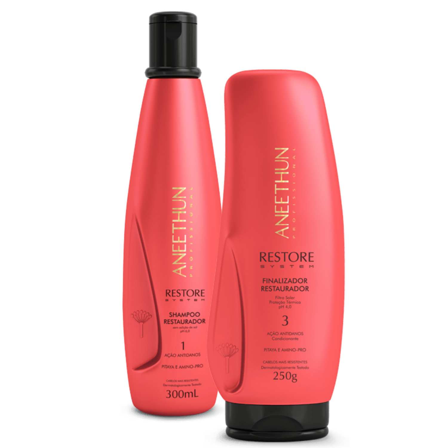 Kit Shampoo Finalizador Aneethun Restore System Restaurador