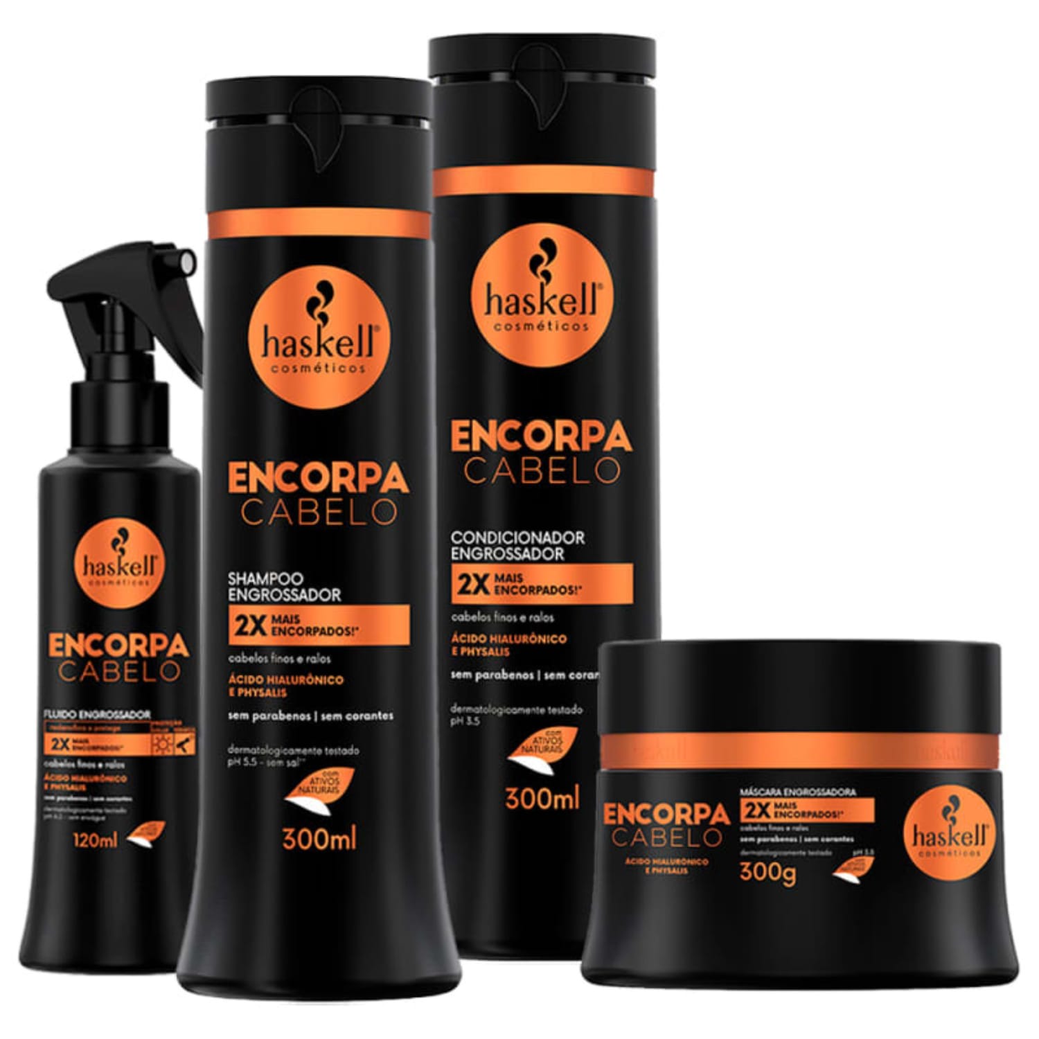 Kit Haskell Encorpa Cabelo 4 Produtos 300ml