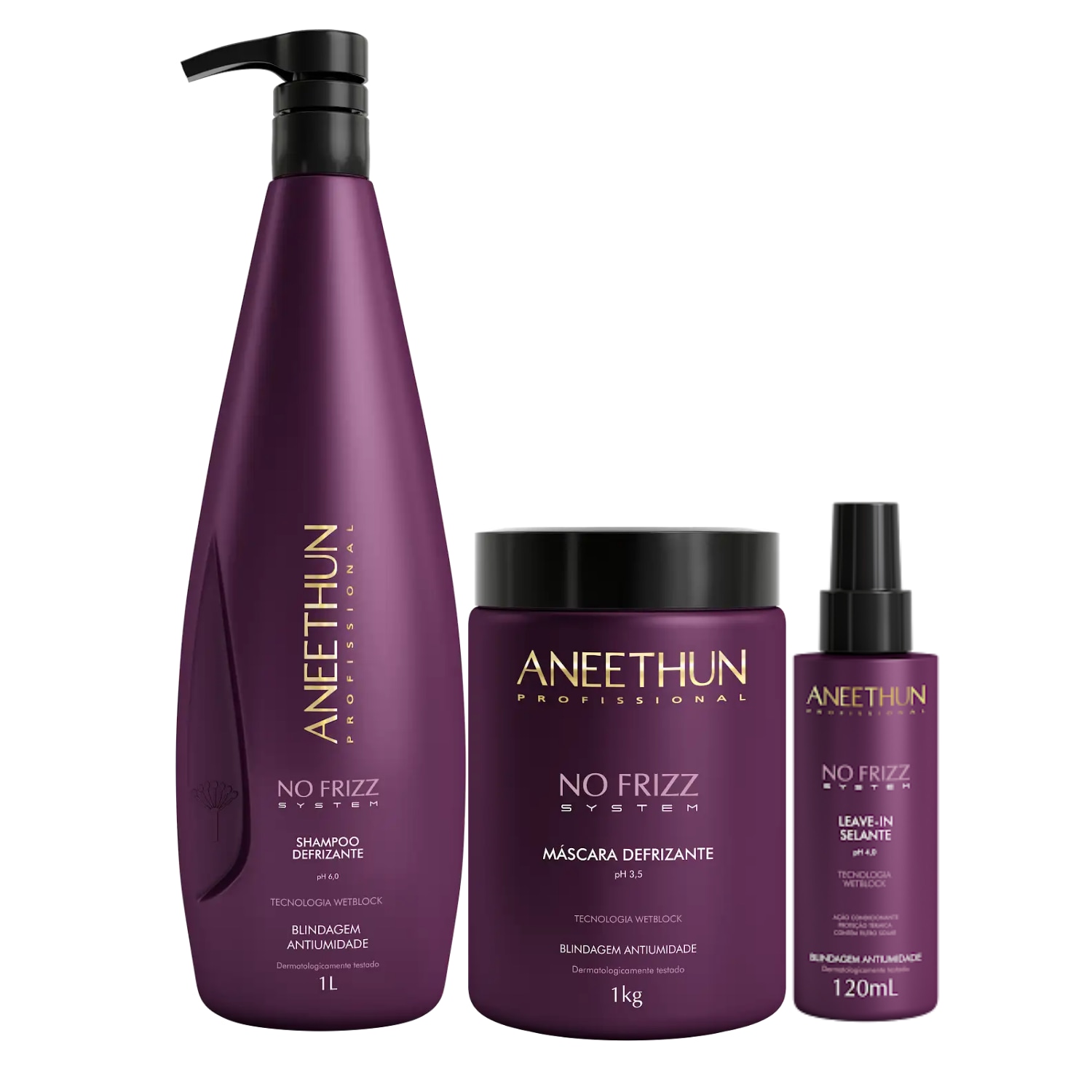 KIT DISCIPLINANTE NO FRIZZ 3 PRODUTOS LAVATÓRIO- ANEETHUN