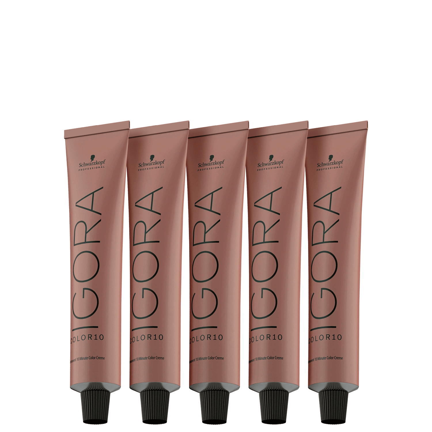 Kit Schwarzkopf Professional Igora Color10 4-00 (5 Produtos)