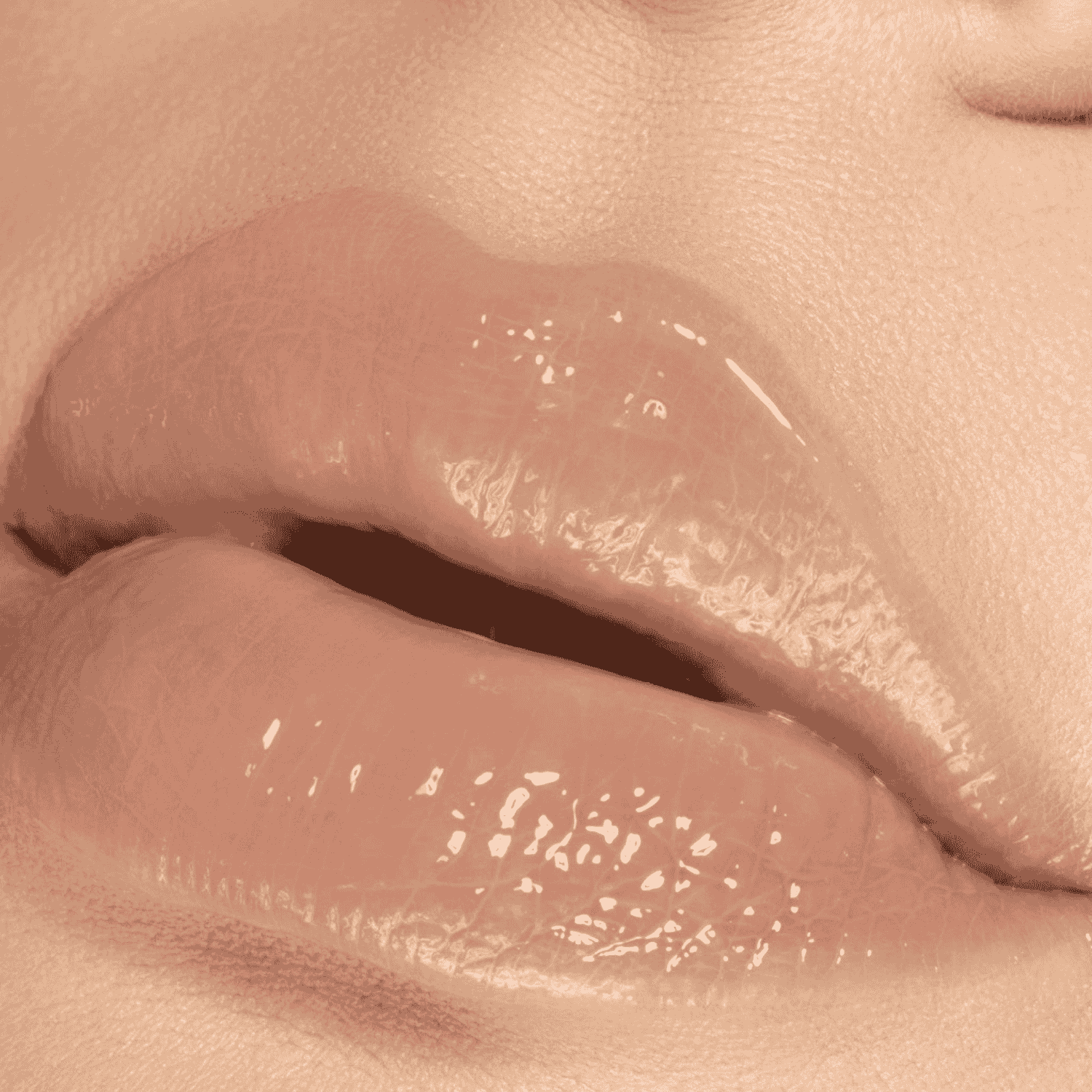 Gloss Wet Lips - Porto
