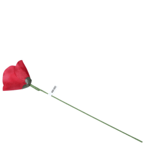 gift image