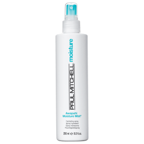 Leave-in Paul Mitchell