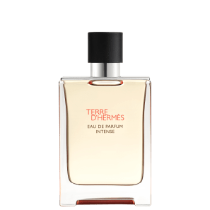 Terre D'Hermès Intense Hermes Eau De Parfum Perfume Masculino