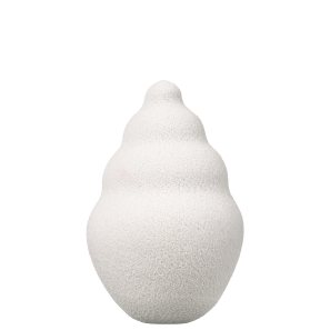 EsponjaKlasme Shell