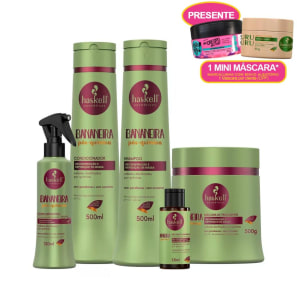 Kit Haskell Bananeira Repositor de Massa (5 Produtos)