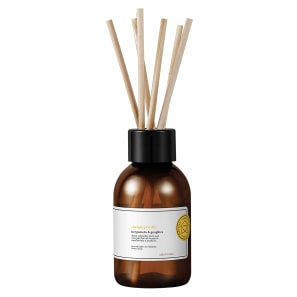 Aromatizador de Ambientes Aroma e Terapia Energia Pro Dia 100ml