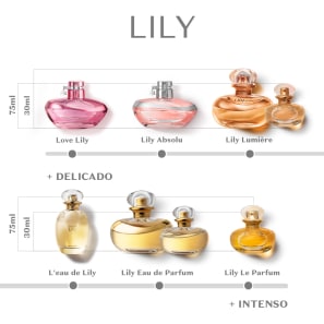 Combo Lily Lumière: Eau De Parfum 30ml + Creme Acetinado Hidratante  Desodorante Corporal 250g