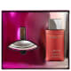 Calvin Klein Conjunto Feminino Euphoria - Eau de Parfum 50ml + Skin Lotion 200ml