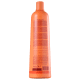 Richée Professional Argan e Ojon - Redutor de Volume 1000ml (2)