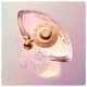 Perfume Kenzo World Eau de Toilette 30ml (5)