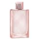 Brit Sheer Burberry Eau de Toilette - Perfume Feminino 100ml (1)