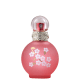 Fantasy in Bloom Britney Spears Eau de Toilette - Perfume Feminino 30ml (1)
