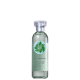 Fuji Green Tea The Body Shop Eau de Cologne - Perfume Unissex 100ml (1)