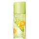 Green Tea Yuzu Elizabeth Arden Eau de Toilette - Perfume Feminino 100ml (1)