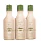 Kit Inoar Argan Oil System Trio (3 Produtos)