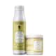 Kit Alfaparf Precious Nature Long & Straight Hair Duo (2 Produtos) (1)