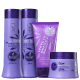 Kit Haskell Ametista Desamarelamento Total (4 Produtos) (1)