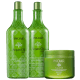 Kit Argan Oil System Tratamento (3 Produtos)
