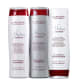 Kit L'Anza Healing ColorCare Silver (3 Produtos)