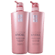 Kit Stephen Knoll Color Repair (2 Produtos) (1)