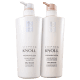 Kit Stephen Knoll Shine Repair Silky Smooth (2 Produtos) (1)